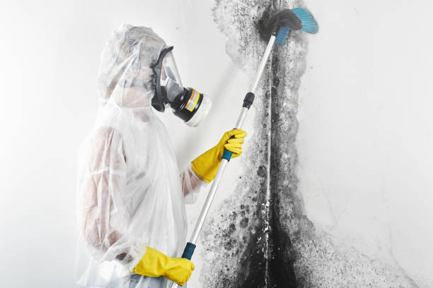 Best Commercial Mold Inspection  in Leisure Knoll, NJ