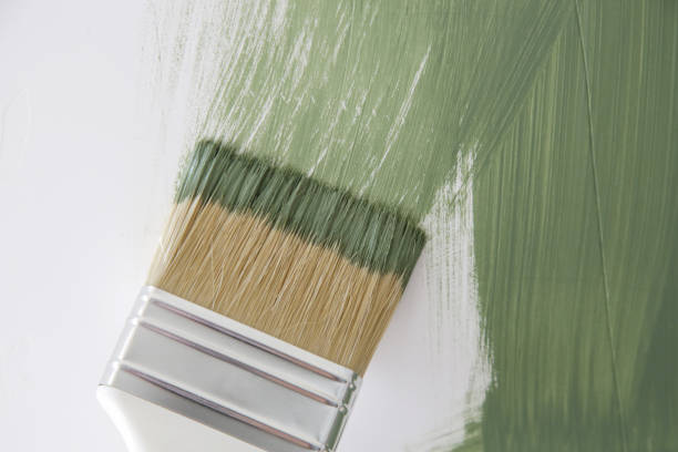Mold Remediation for Rental Properties in Leisure Knoll, NJ