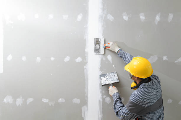 Best Asbestos and Lead Testing During Mold Inspection  in Leisure Knoll, NJ