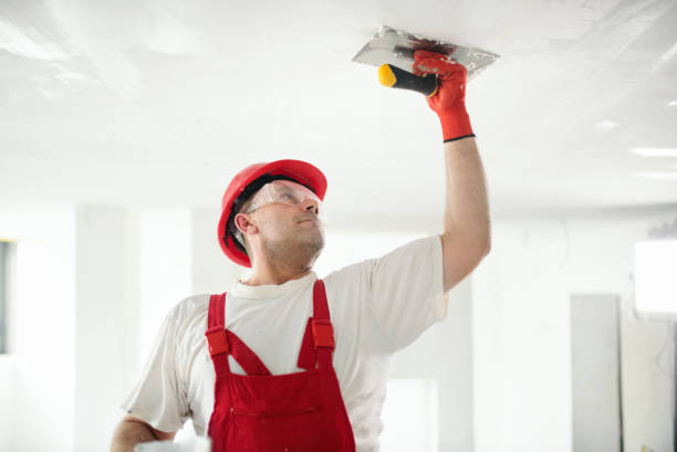 Asbestos and Lead Testing During Mold Inspection in Leisure Knoll, NJ