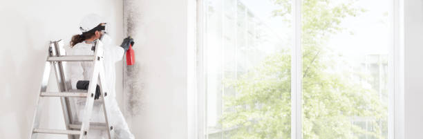 Best Emergency Mold Remediation  in Leisure Knoll, NJ